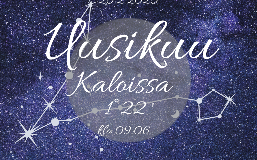 UUSIKUU KALOISSA 20.2.2023